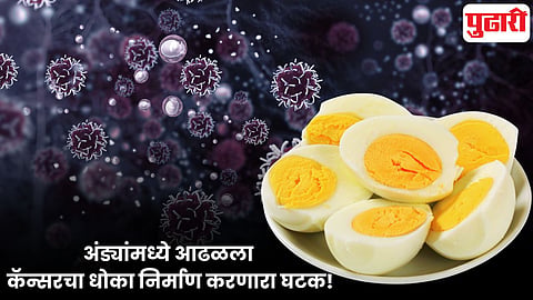 Eggs and Cancer