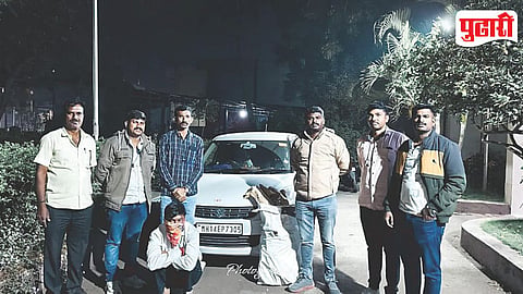 Sangamner Sandalwood
