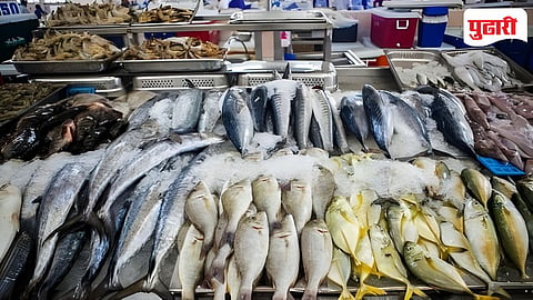 Goa Fish Price Hike