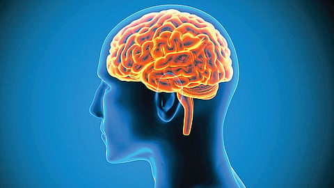 Brain Health Tips 