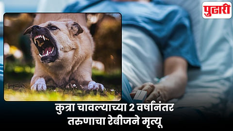 Rabies Death