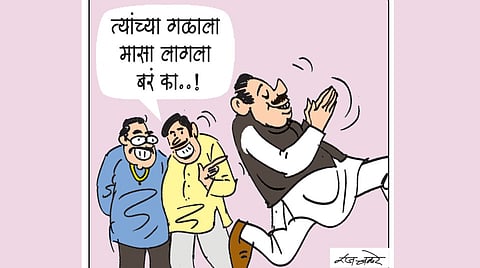 municipal elections