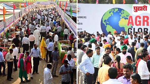 Global District Agricultural Festival 