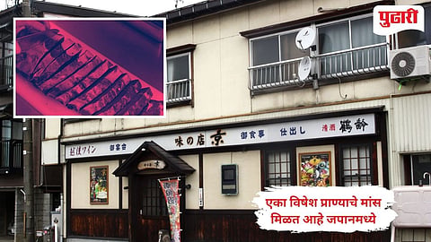 Japanese Restaurant 
