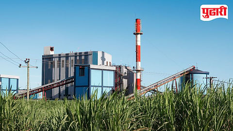Sugar Factory 