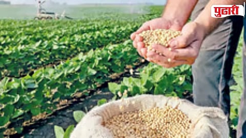Nanded Soybean Procurement Issues 
