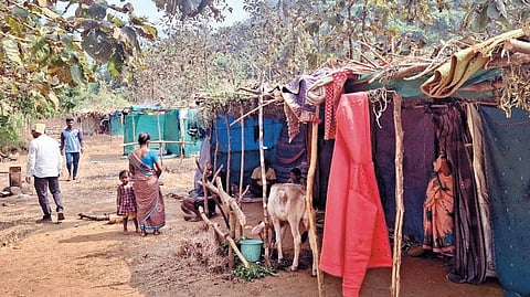 Sindhudurg News