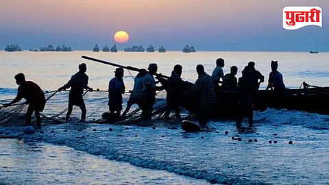 Fisheries Development