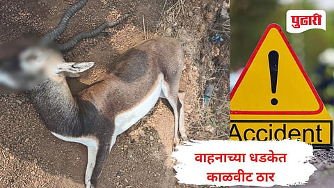 Bhandara News 