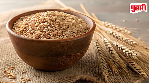 Wheat