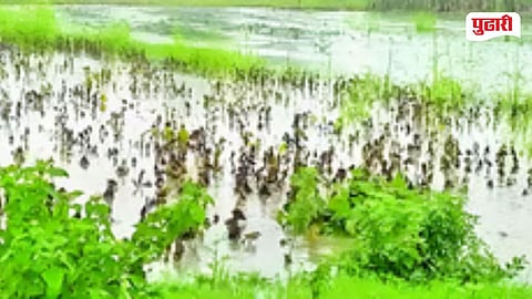 Kinwat Wet Drought