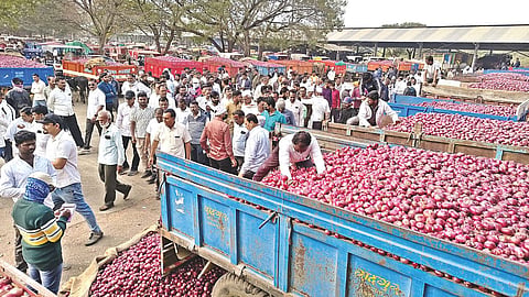 Onion Price Crash