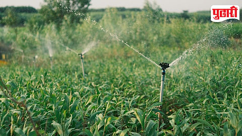 Fertiliser