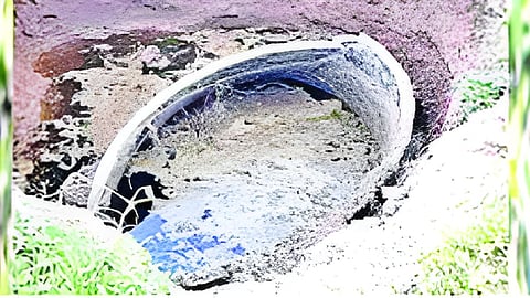 Marathwada rainfall
