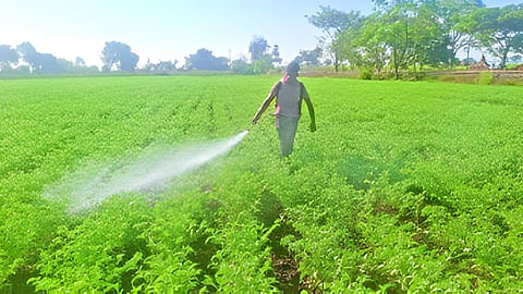 Agriculture News