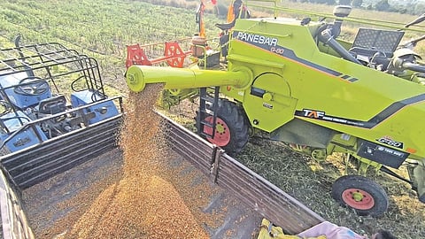 Farm Labor Crisis