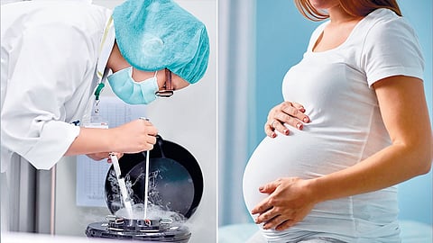 Egg Freezing Trend