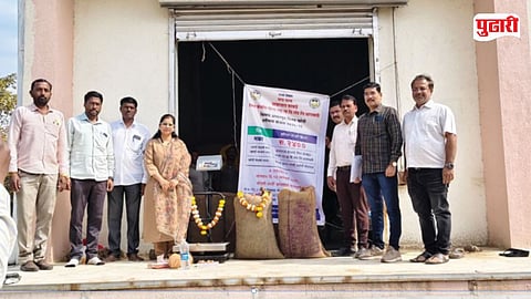 Baramati maize MSP purchase