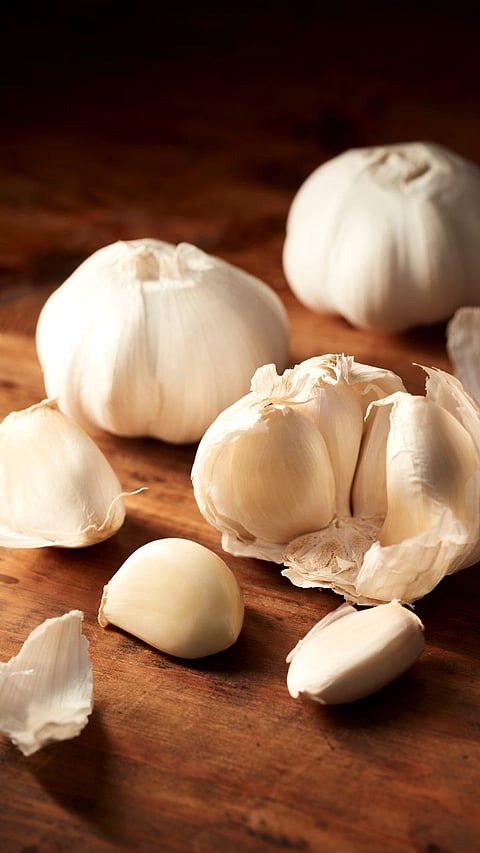  garlic Side effects 