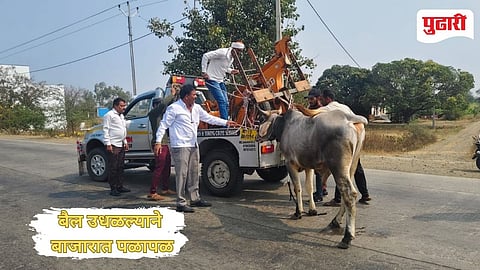 Kej News