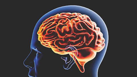 Brain disease research