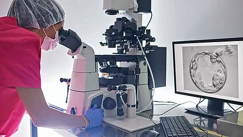 IVF treatment |