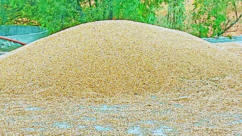 Kannada taluka