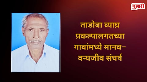 Farmer killed by tiger Chorgaon 