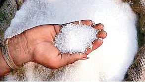 sugar export ban | 