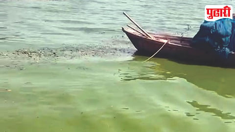 Ujani Dam Pollution