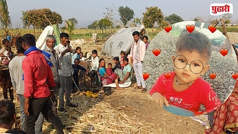 Sugarcane Worker  child death by wild animal