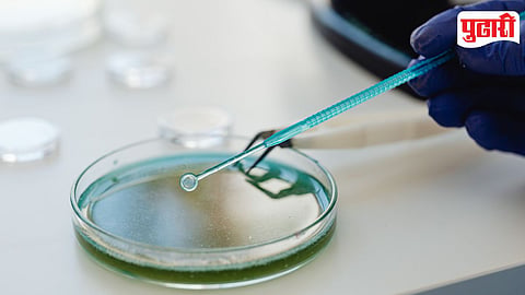 Water Sample