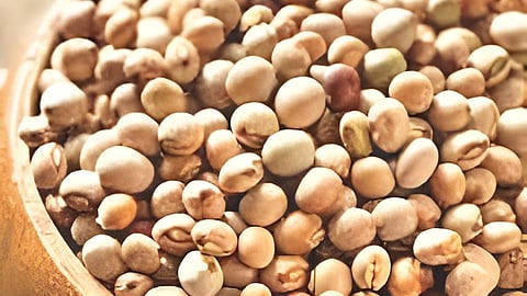 Tur Dal Market Rate