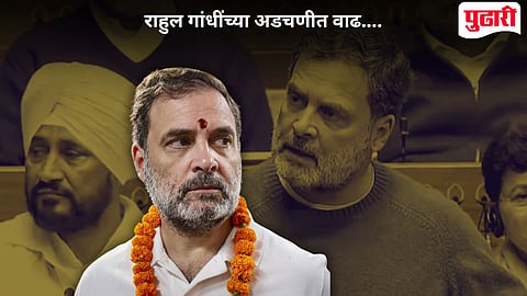 Rahul Gandhi Parliament