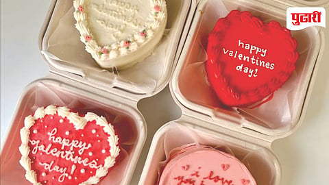 Valentine Day Cake Trend 2026