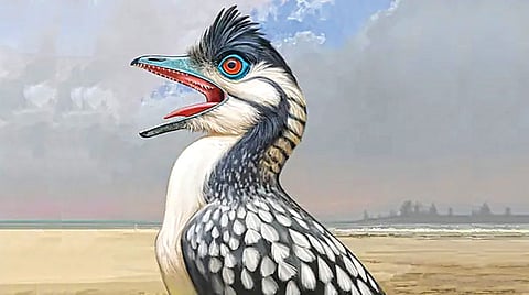 bird like dinosaur | 