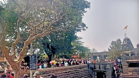 Maha Shivratri: भक्तीचा मळा फुलला; अर्धनारी नटेश्वर मंदिरात महाशिवरात्री सोहळा 