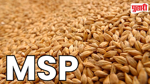 MSP