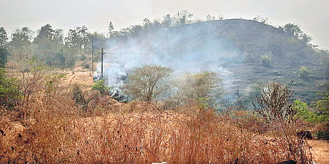 Satara News