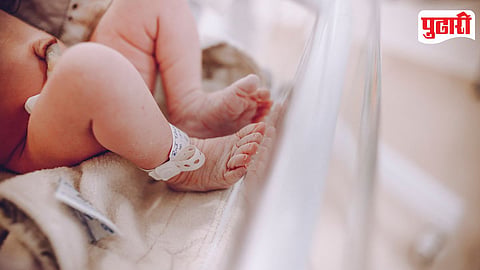 Newborn Baby