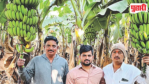 Ganeshwadi Banana Farming Success