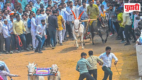 Charholi Bailgada Sharyat
