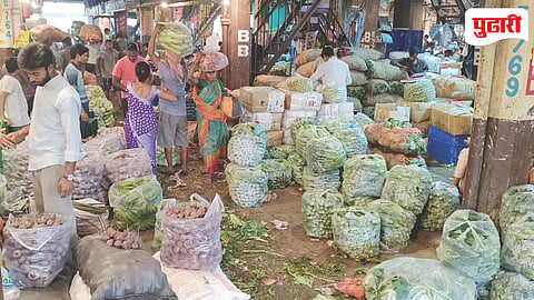 APMC Navi Mumbai Vegetable Price