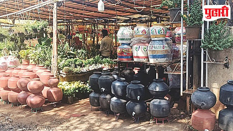 Clay Pot