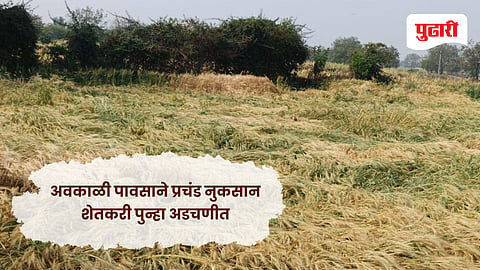 Unseasonal rain hingoli 