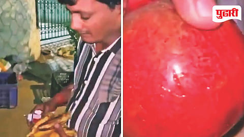Malad Fruit Poison