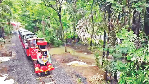 Vanrani mini toy train