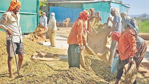 Nipani news