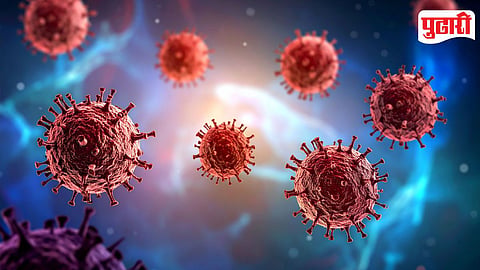 Virus