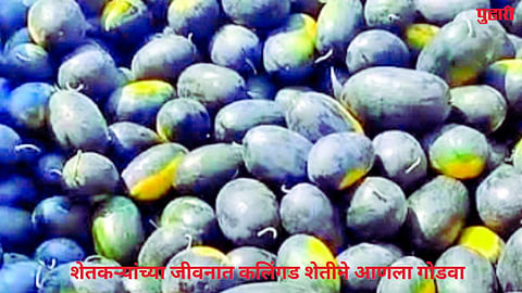 sambhajinagar news